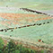 Original Waterbased Oil Painting by Gregory Effinger